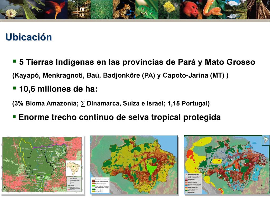 Ubicación 5 Tierras Indígenas en las provincias de Pará y Mato Grosso