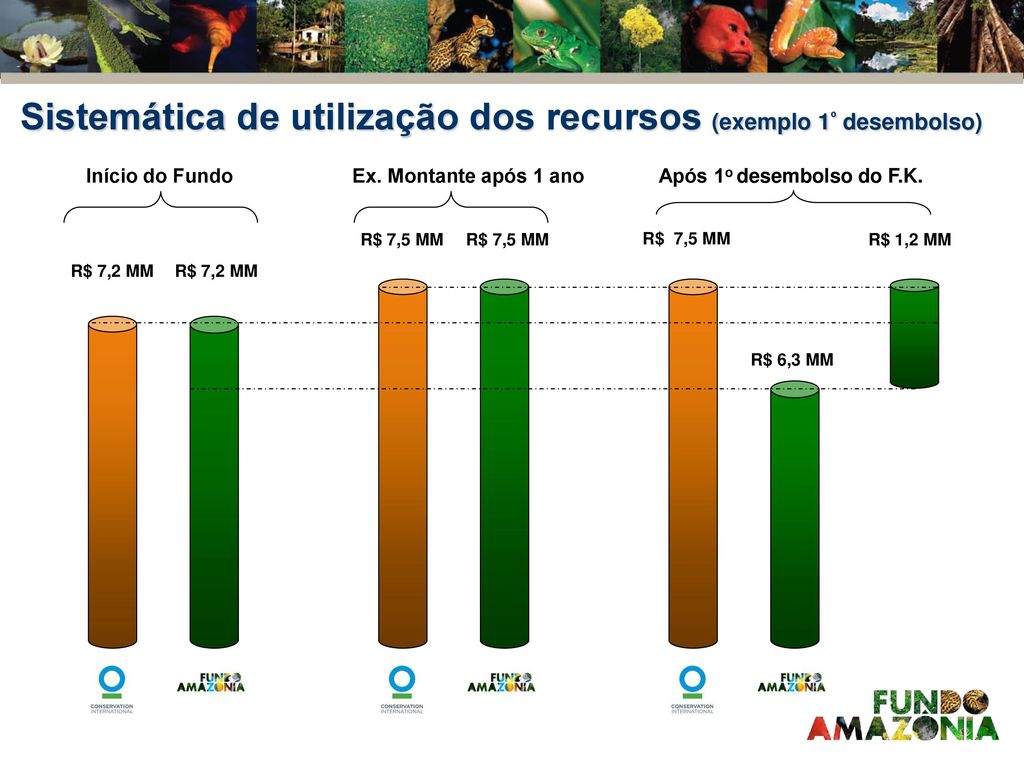 Fonte: Atlas de Pressões e Ameaças às TIs na Amazônia Brasileira (ISA – 2009)