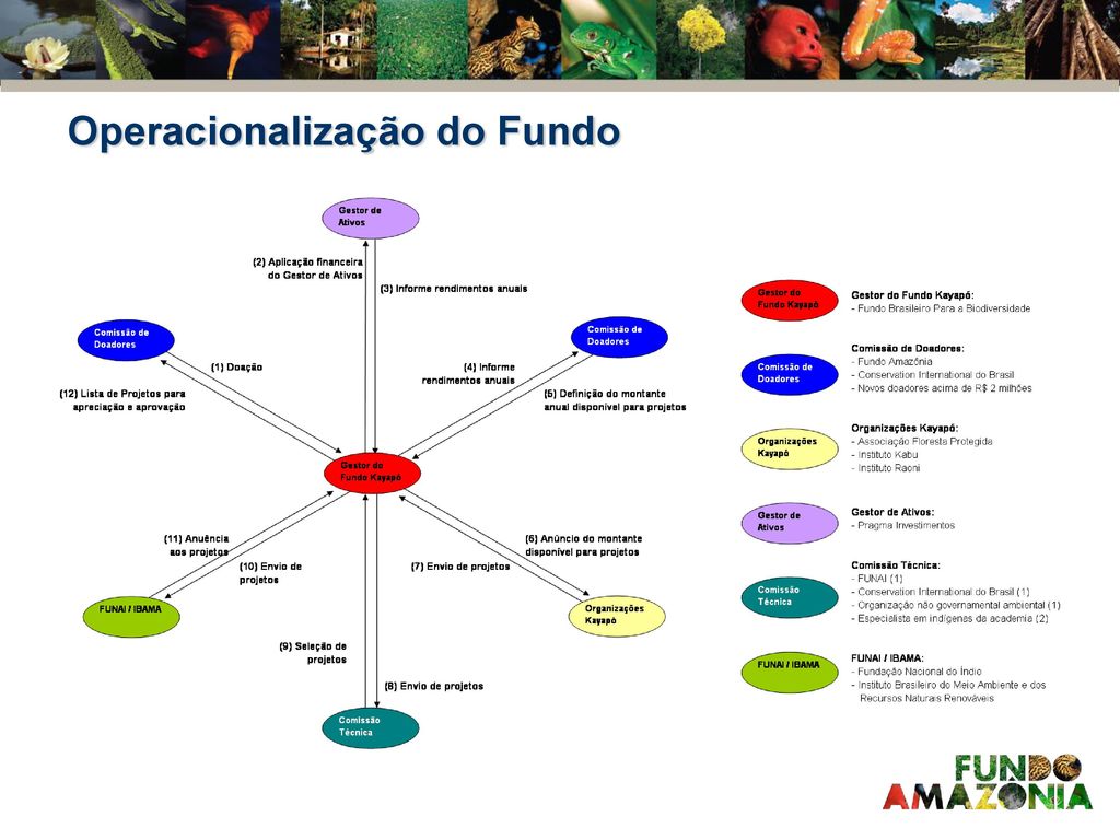 Fonte: Atlas de Pressões e Ameaças às TIs na Amazônia Brasileira (ISA – 2009)