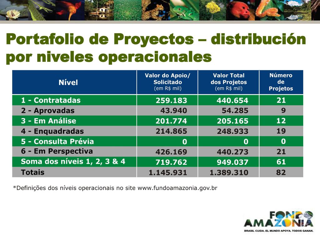 Portafolio de Proyectos – distribución por niveles operacionales