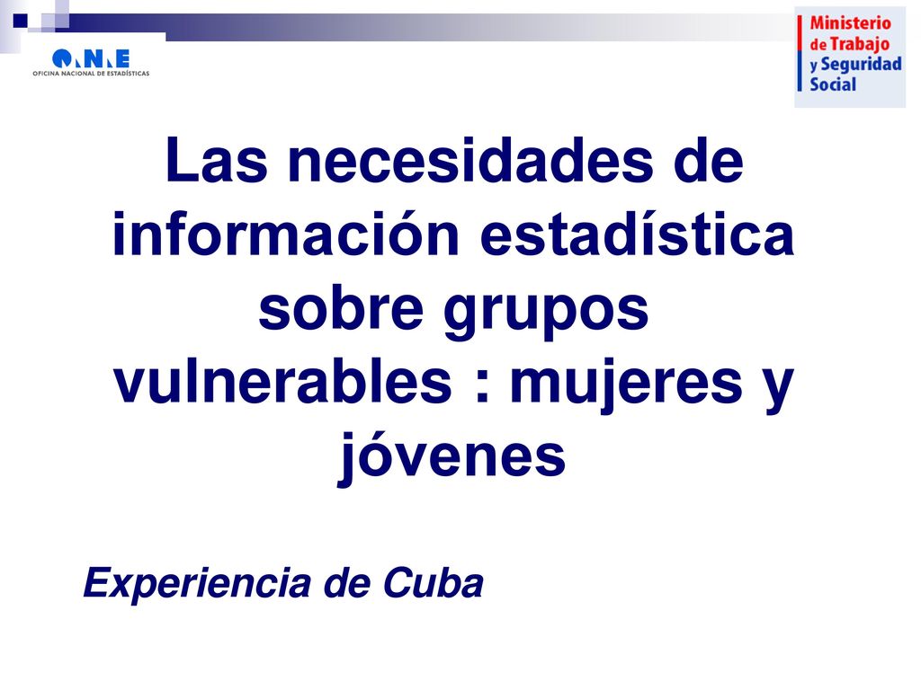 Las necesidades de información estadística sobre grupos vulnerables : mujeres y jóvenes
