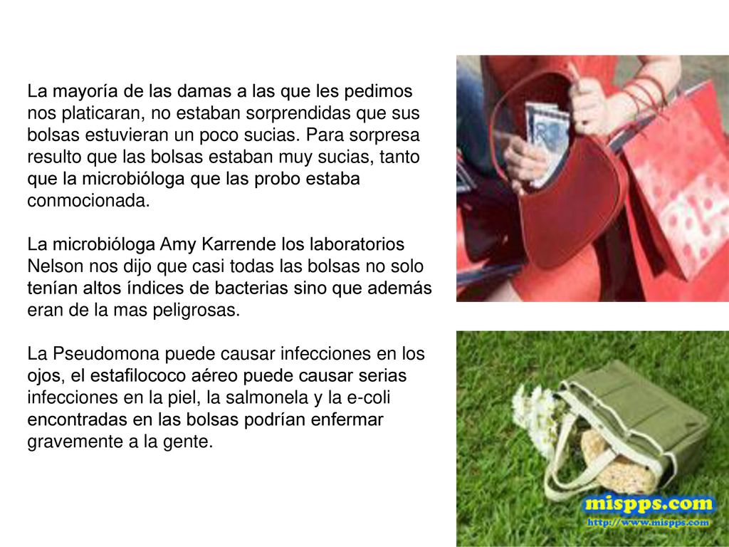 La mayoría de las damas a las que les pedimos nos platicaran, no estaban sorprendidas que sus bolsas estuvieran un poco sucias. Para sorpresa resulto que las bolsas estaban muy sucias, tanto que la microbióloga que las probo estaba conmocionada. La microbióloga Amy Karrende los laboratorios Nelson nos dijo que casi todas las bolsas no solo tenían altos índices de bacterias sino que además eran de la mas peligrosas.