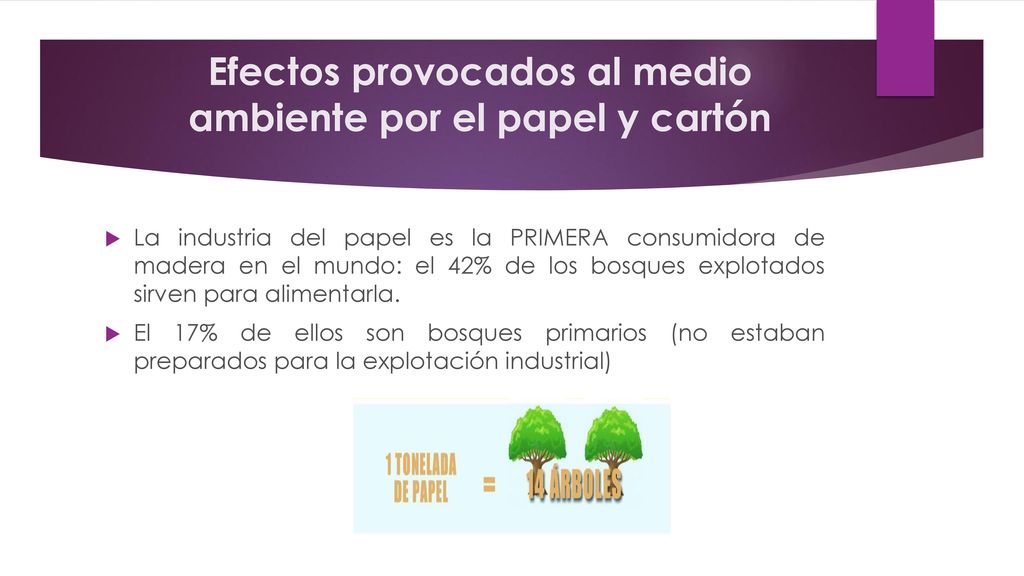 Efectos provocados al medio ambiente por el papel y cartón