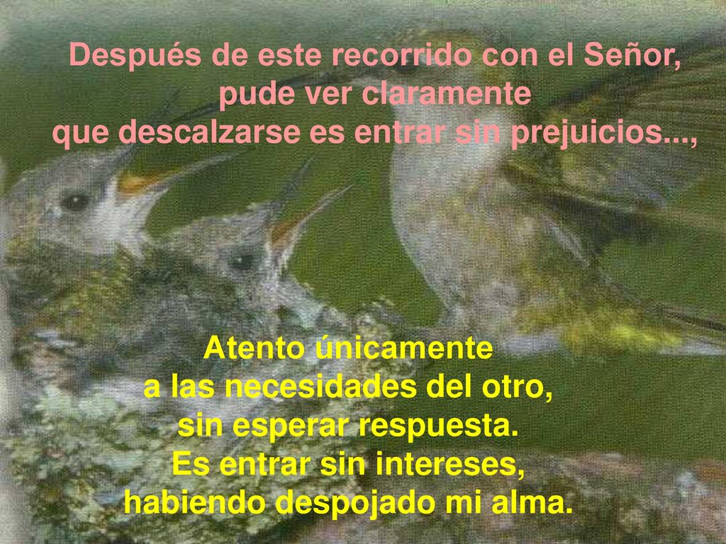 Después de este recorrido con el Señor, pude ver claramente