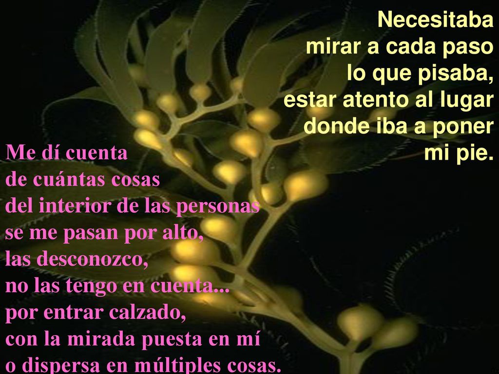 Necesitaba mirar a cada paso. lo que pisaba, estar atento al lugar. donde iba a poner. mi pie. Me dí cuenta.