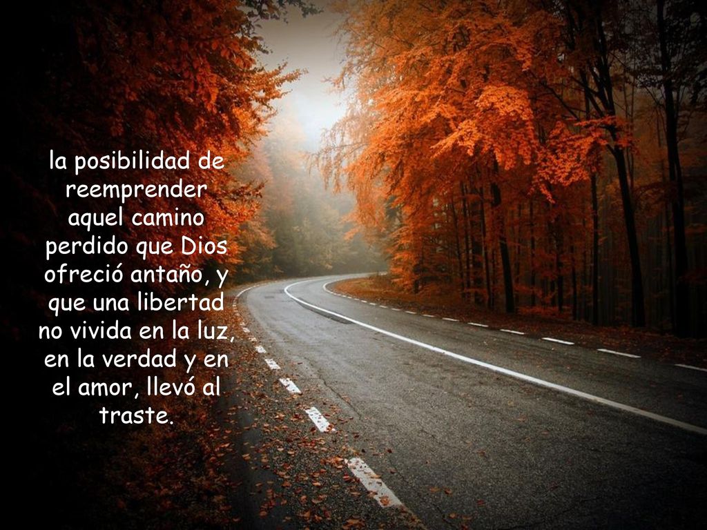 la posibilidad de reemprender aquel camino perdido que Dios ofreció antaño, y que una libertad no vivida en la luz, en la verdad y en el amor, llevó al traste.