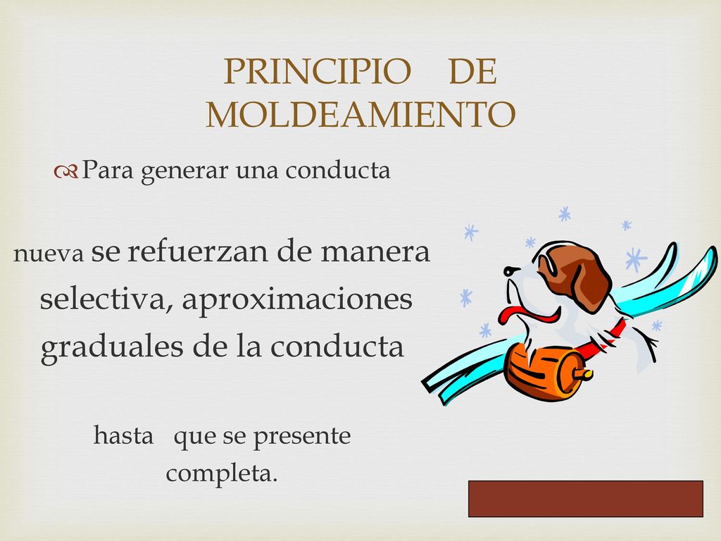 PRINCIPIO DE MOLDEAMIENTO