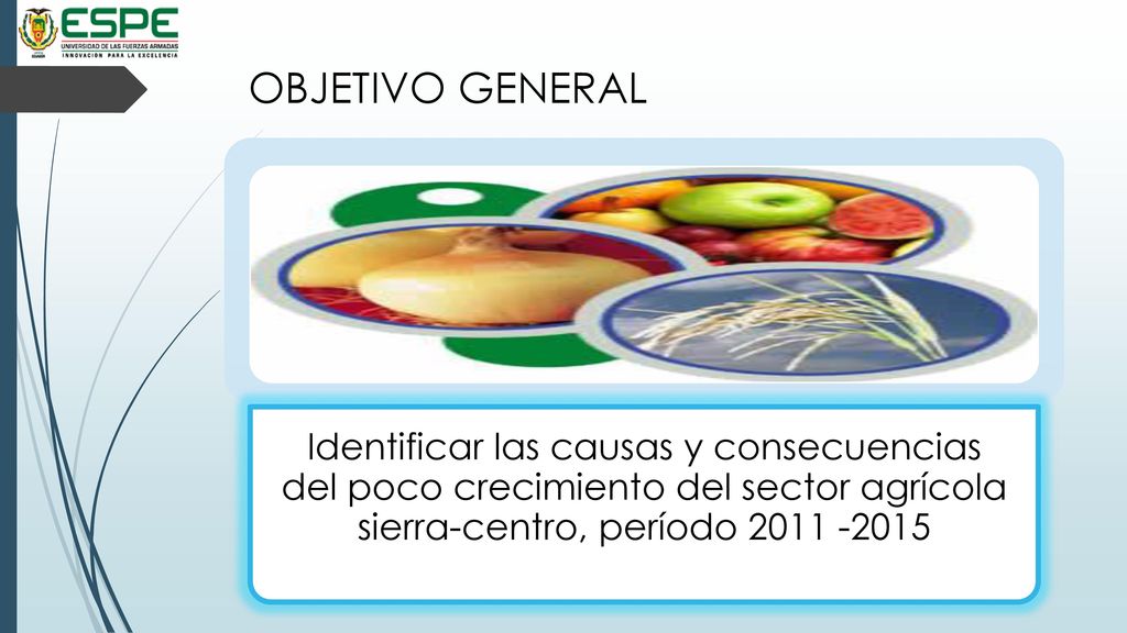 OBJETIVO GENERAL Identificar las causas y consecuencias del poco crecimiento del sector agrícola sierra-centro, período