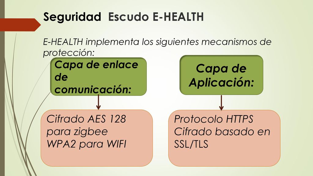 Seguridad Escudo E-HEALTH E-HEALTH implementa los siguientes mecanismos de protección: