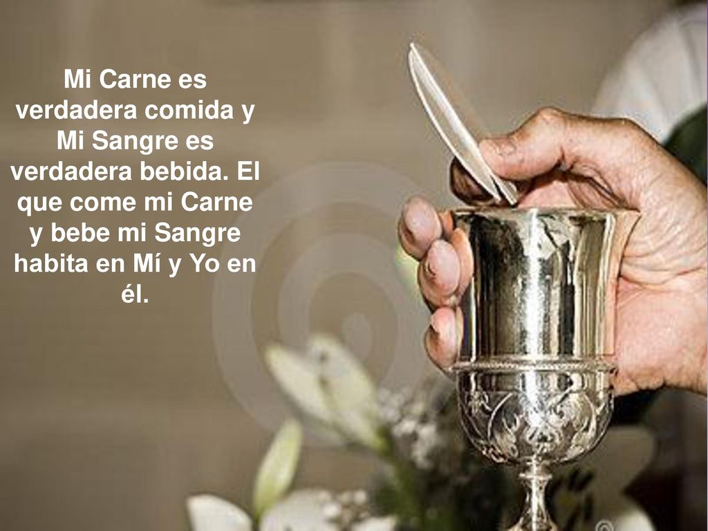 Mi Carne es verdadera comida y Mi Sangre es verdadera bebida
