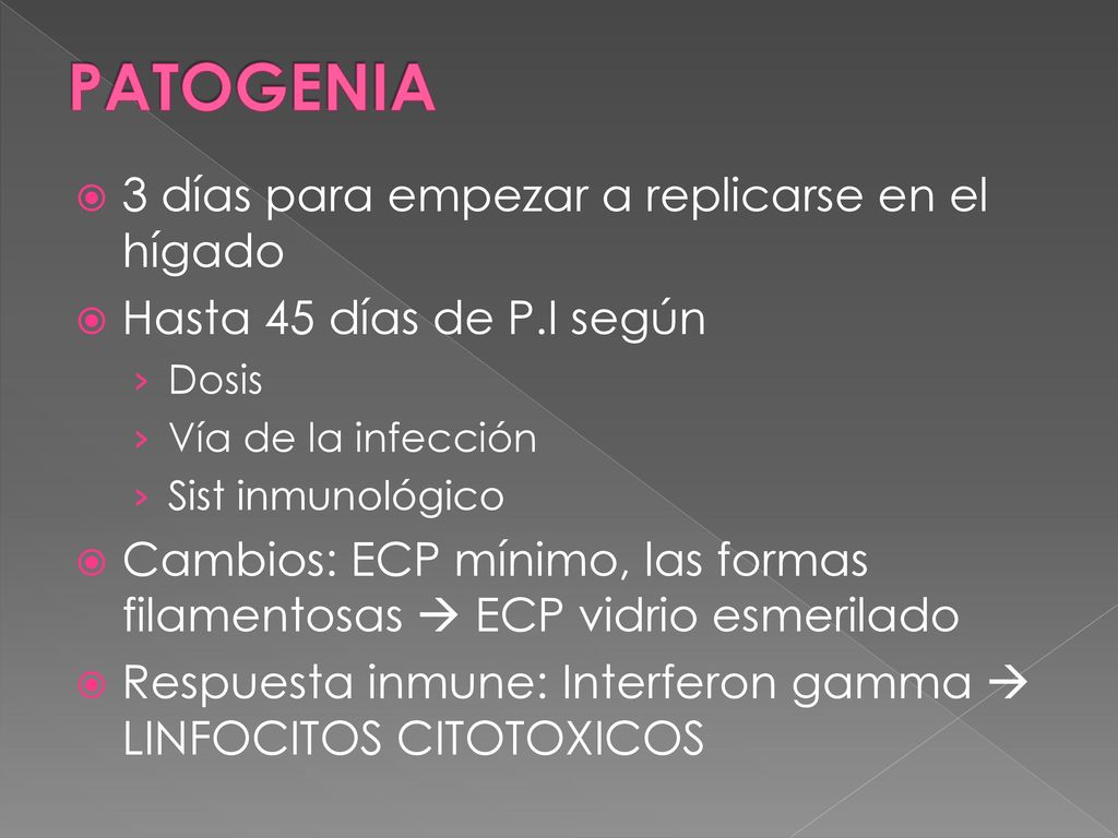 PATOGENIA 3 días para empezar a replicarse en el hígado