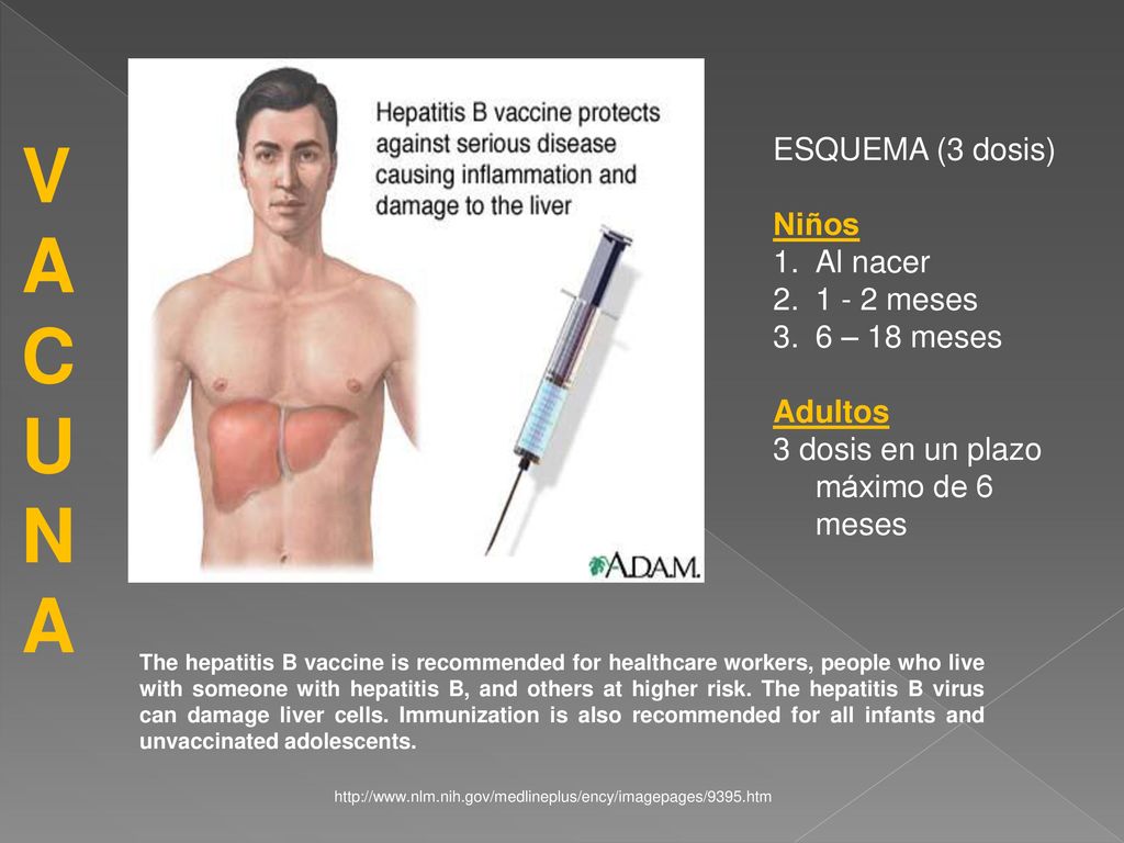 V A C U N ESQUEMA (3 dosis) Niños Al nacer meses 6 – 18 meses
