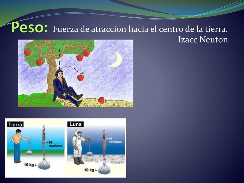 Fuerza de atracción hacia el centro de la tierra. Izacc Neuton