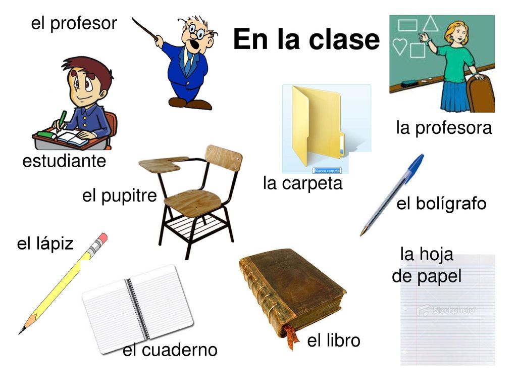 el profesor En la clase la profesora la carpeta el pupitre