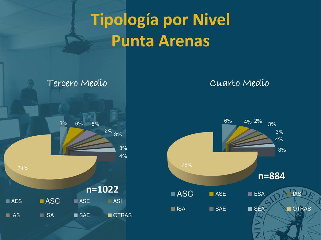 Tipología por Nivel Punta Arenas