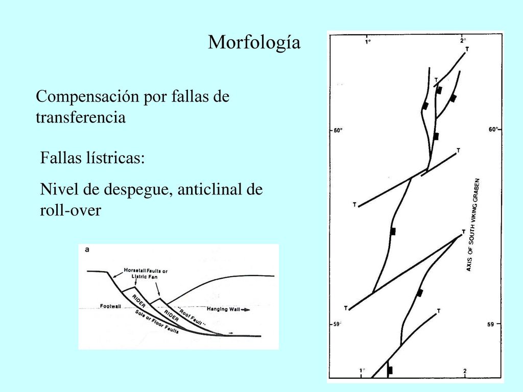 Morfología Compensación por fallas de transferencia Fallas lístricas:
