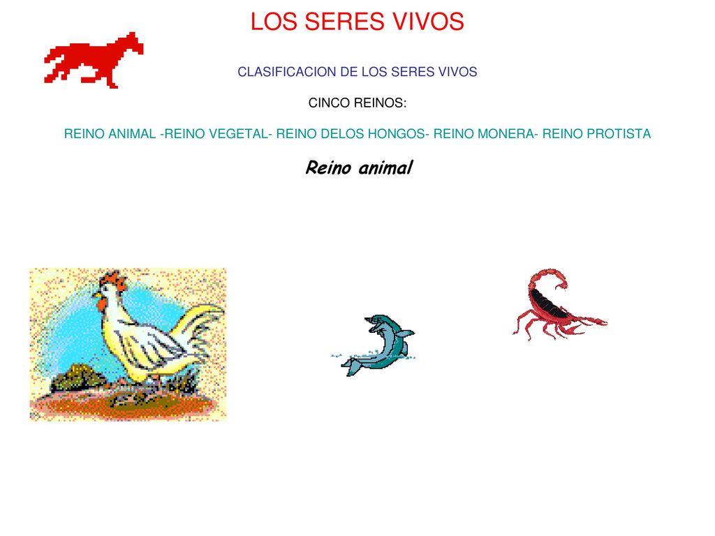 LOS SERES VIVOS CLASIFICACION DE LOS SERES VIVOS CINCO REINOS: REINO ANIMAL -REINO VEGETAL- REINO DELOS HONGOS- REINO MONERA- REINO PROTISTA Reino animal