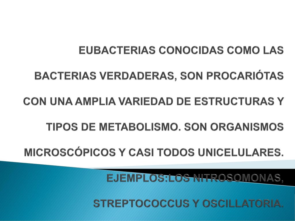 EUBACTERIAS CONOCIDAS COMO LAS BACTERIAS VERDADERAS, SON PROCARIÓTAS CON UNA AMPLIA VARIEDAD DE ESTRUCTURAS Y TIPOS DE METABOLISMO.