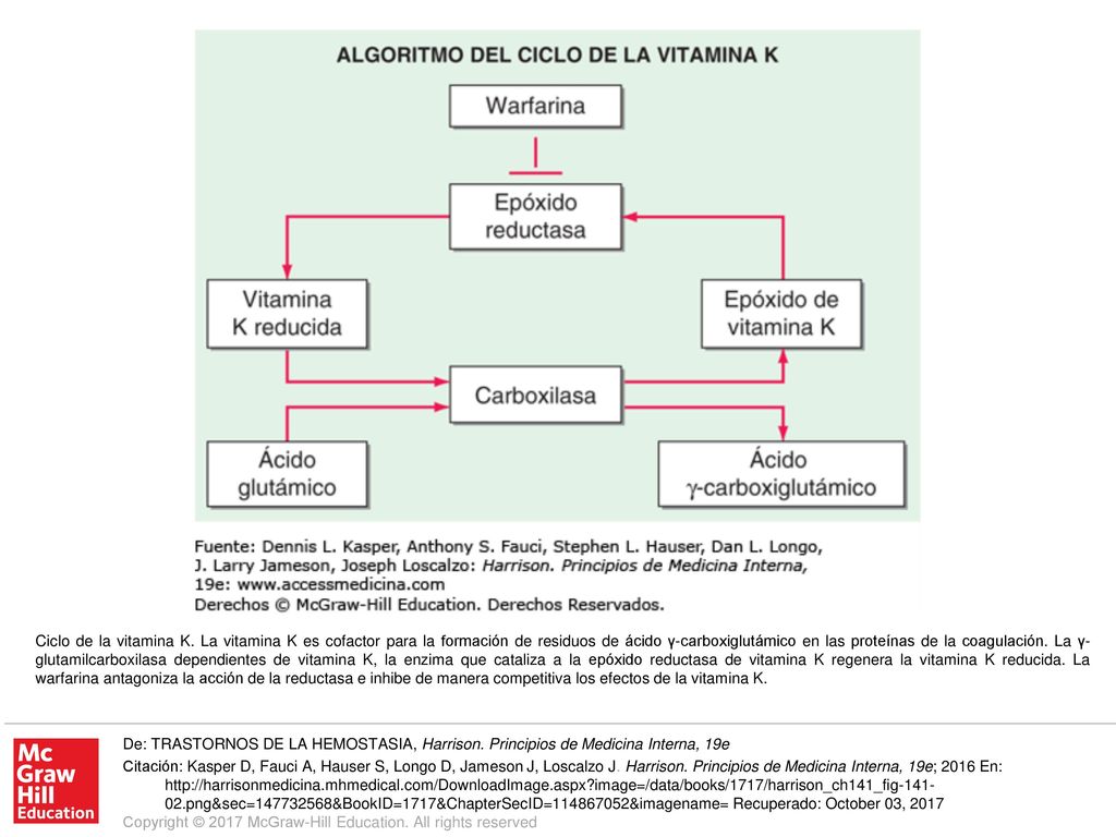 Ciclo de la vitamina K. La vitamina K es cofactor para la formación de residuos de ácido γ-carboxiglutámico en las proteínas de la coagulación. La γ-glutamilcarboxilasa dependientes de vitamina K, la enzima que cataliza a la epóxido reductasa de vitamina K regenera la vitamina K reducida. La warfarina antagoniza la acción de la reductasa e inhibe de manera competitiva los efectos de la vitamina K.