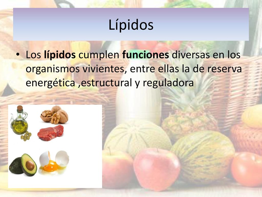 Lípidos Los lípidos cumplen funciones diversas en los organismos vivientes, entre ellas la de reserva energética ,estructural y reguladora.