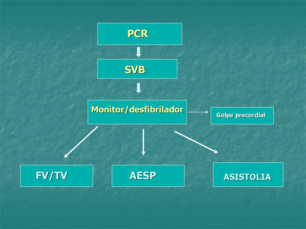 PCR SVB Monitor/desfibrilador Golpe precordial FV/TV AESP ASISTOLIA