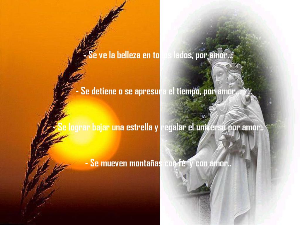 - Se ve la belleza en todos lados, por amor…