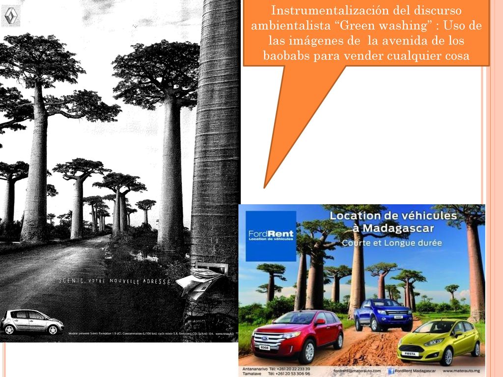 Instrumentalización del discurso ambientalista Green washing : Uso de las imágenes de la avenida de los baobabs para vender cualquier cosa