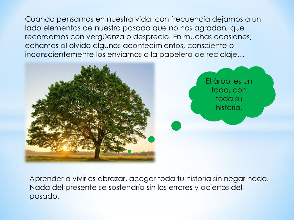 El árbol es un todo, con toda su historia.