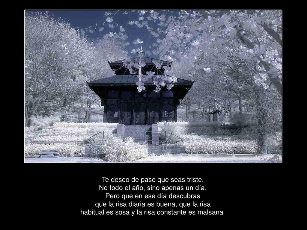 Te deseo de paso que seas triste. No todo el año, sino apenas un día