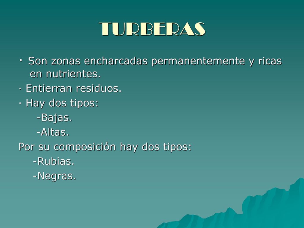 TURBERAS · Son zonas encharcadas permanentemente y ricas en nutrientes. · Entierran residuos. · Hay dos tipos: