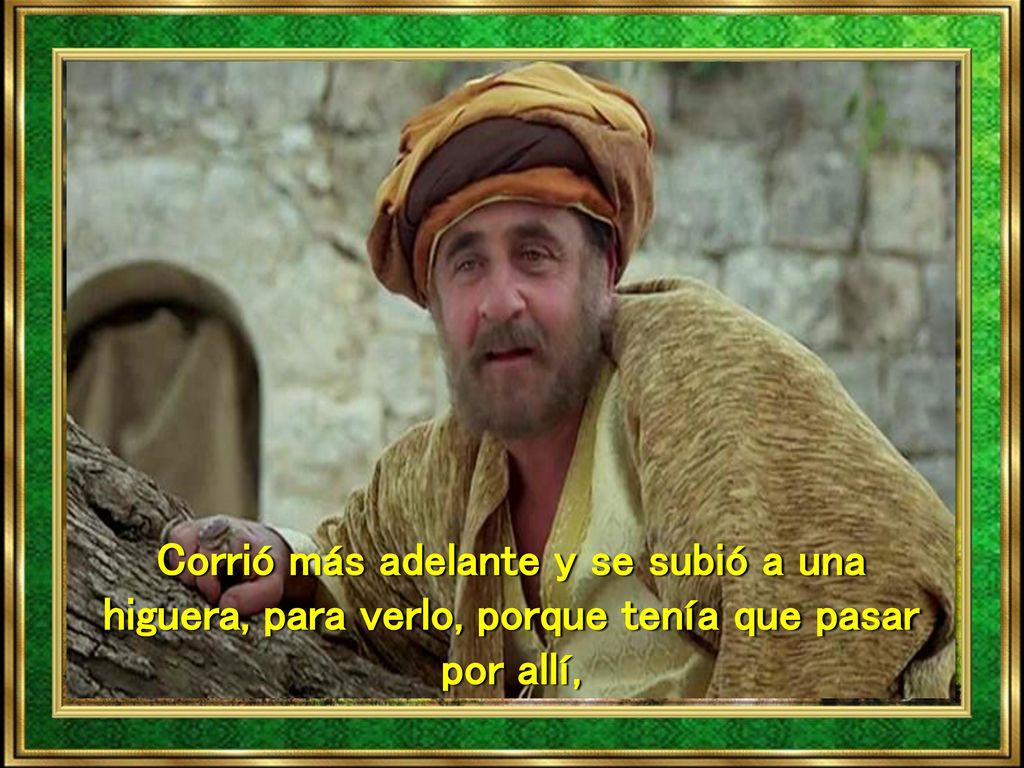 Corrió más adelante y se subió a una higuera, para verlo, porque tenía que pasar por allí,