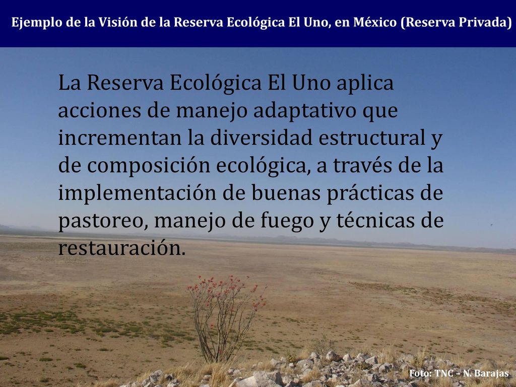 Ejemplo de la Visión de la Reserva Ecológica El Uno, en México (Reserva Privada)