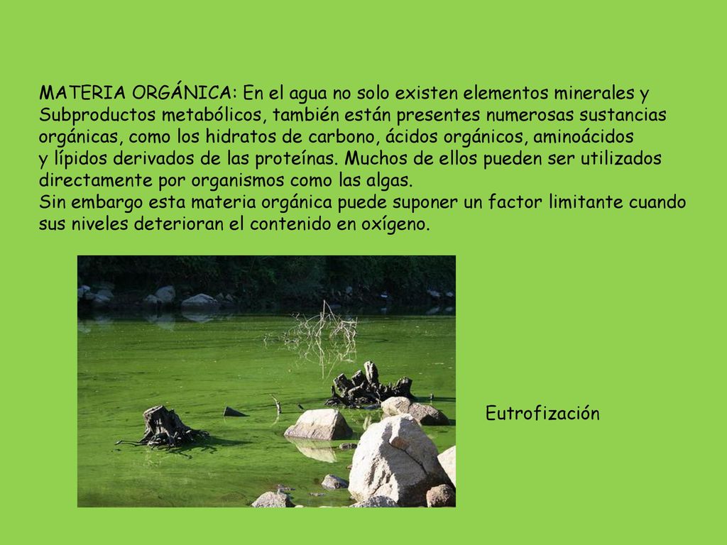 MATERIA ORGÁNICA: En el agua no solo existen elementos minerales y