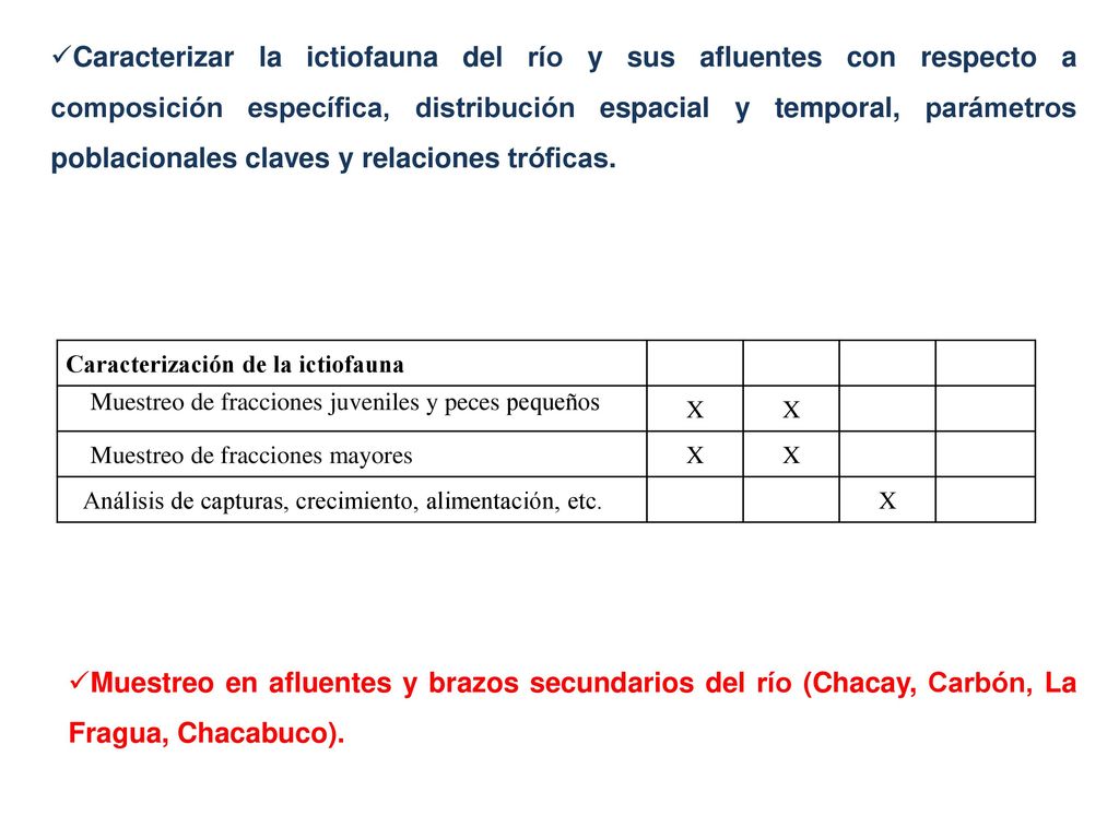 Caracterizar la ictiofauna del río y sus afluentes con respecto a composición específica, distribución espacial y temporal, parámetros poblacionales claves y relaciones tróficas.