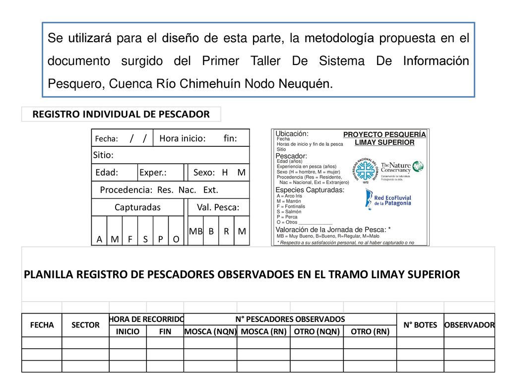 Se utilizará para el diseño de esta parte, la metodología propuesta en el documento surgido del Primer Taller De Sistema De Información Pesquero, Cuenca Río Chimehuín Nodo Neuquén.