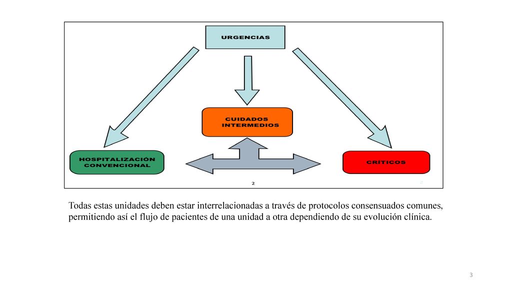 Todas estas unidades deben estar interrelacionadas a través de protocolos consensuados comunes, permitiendo así el flujo de pacientes de una unidad a otra dependiendo de su evolución clínica.