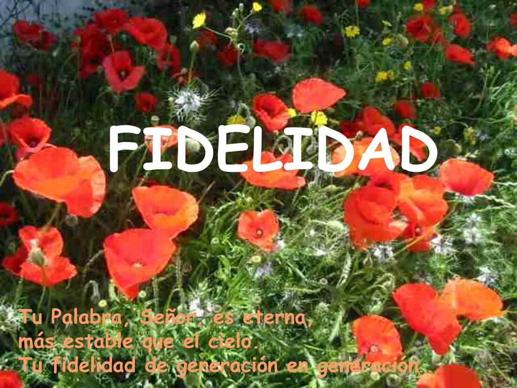 FIDELIDAD Tu Palabra, Señor, es eterna, más estable que el cielo.