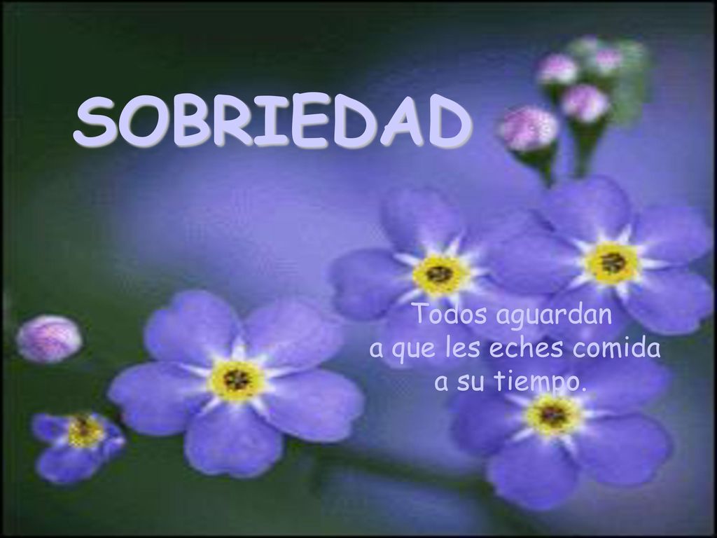 Todos aguardan a que les eches comida a su tiempo.