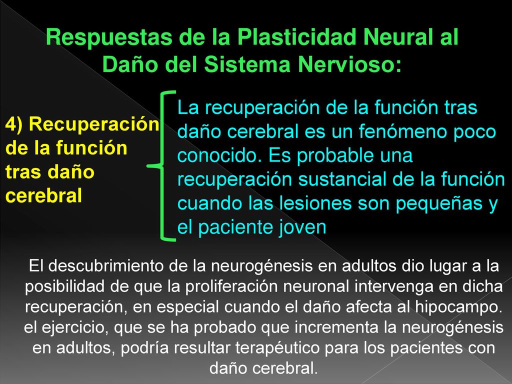 Respuestas de la Plasticidad Neural al Daño del Sistema Nervioso: