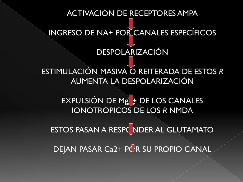ACTIVACIÓN DE RECEPTORES AMPA INGRESO DE NA+ POR CANALES ESPECÍFICOS