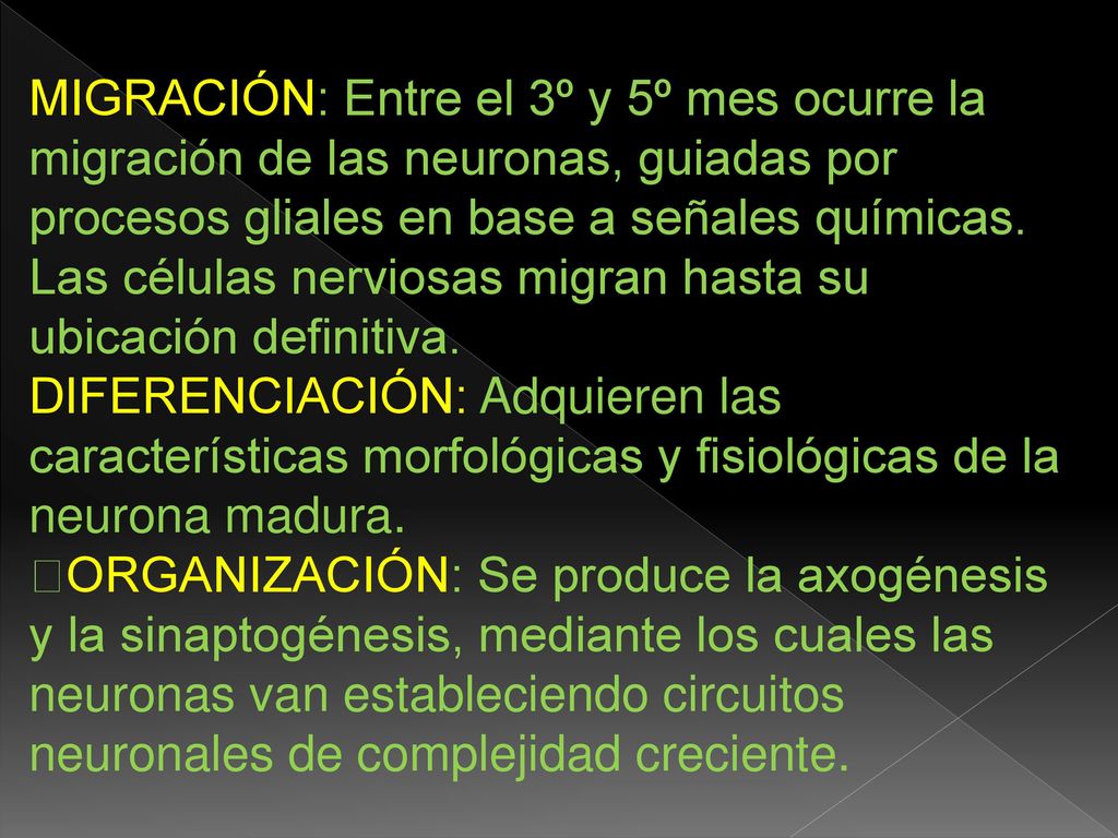 MIGRACIÓN: Entre el 3º y 5º mes ocurre la migración de las neuronas, guiadas por procesos gliales en base a señales químicas. Las células nerviosas migran hasta su ubicación definitiva.