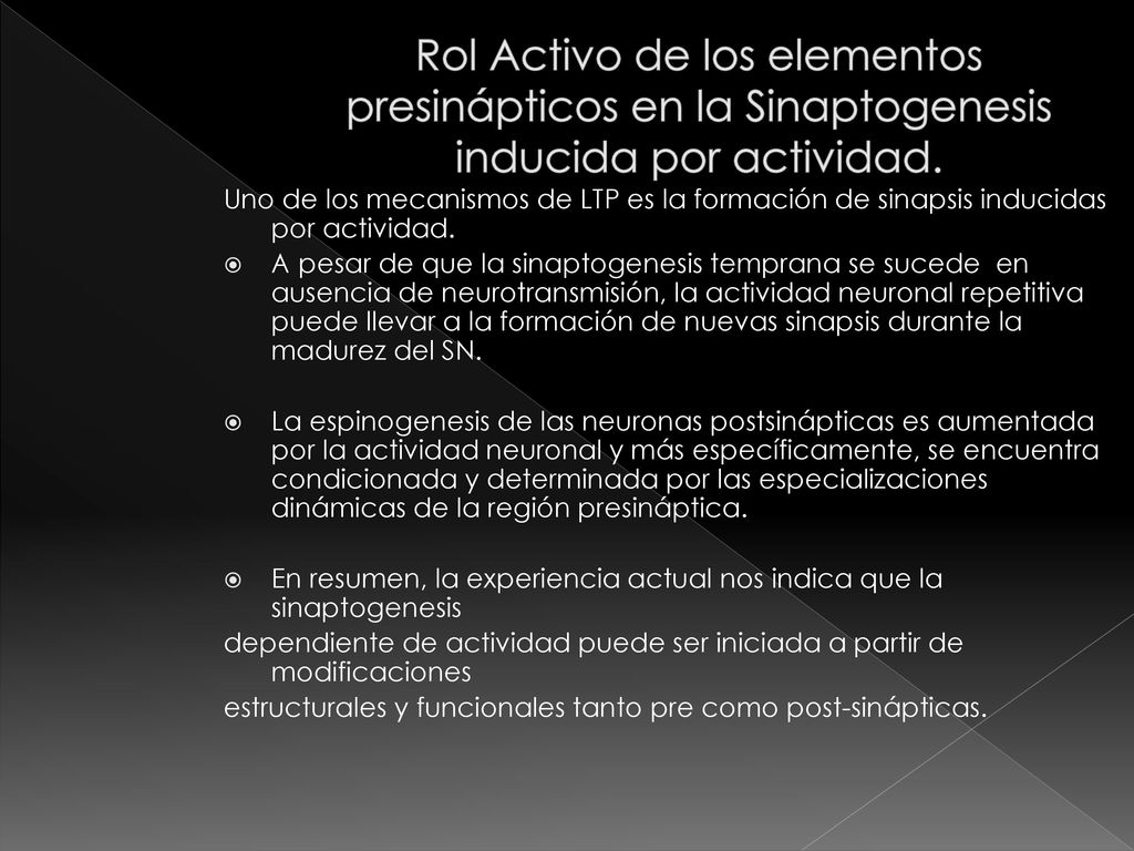 Rol Activo de los elementos presinápticos en la Sinaptogenesis inducida por actividad.
