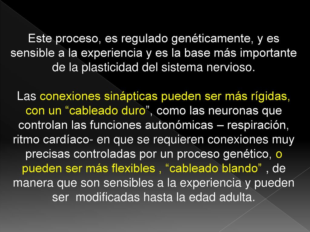 Este proceso, es regulado genéticamente, y es sensible a la experiencia y es la base más importante de la plasticidad del sistema nervioso.