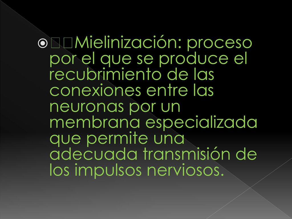 Mielinización: proceso por el que se produce el recubrimiento de las conexiones entre las neuronas por un membrana especializada que permite una adecuada transmisión de los impulsos nerviosos.