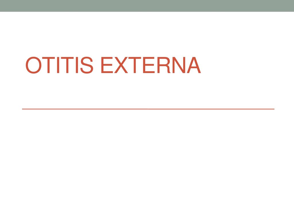 OTITIS Conceptos clave. En otitis leves se iniciará tratamiento sintomático y se valorará a las 48-72h.