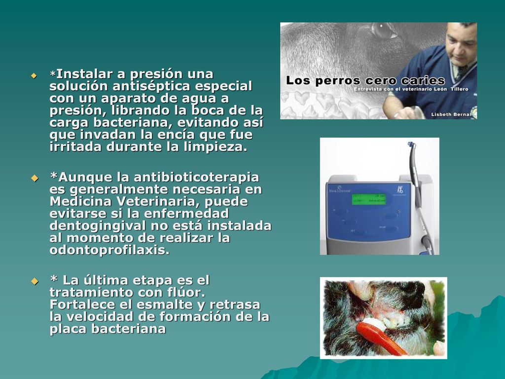 *Instalar a presión una solución antiséptica especial con un aparato de agua a presión, librando la boca de la carga bacteriana, evitando así que invadan la encía que fue irritada durante la limpieza.