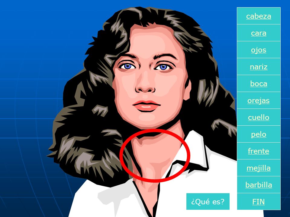 cabeza cara ojos nariz boca orejas cuello pelo frente mejilla barbilla ¿Qué es FIN