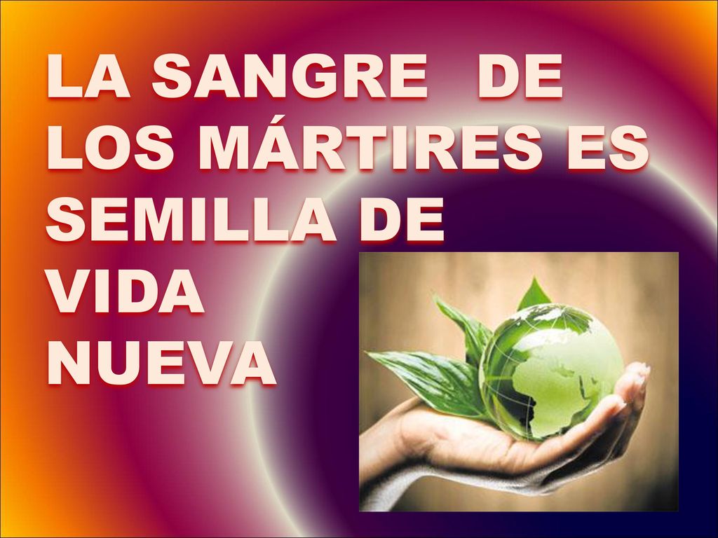 LA SANGRE DE LOS MÁRTIRES ES SEMILLA DE VIDA NUEVA