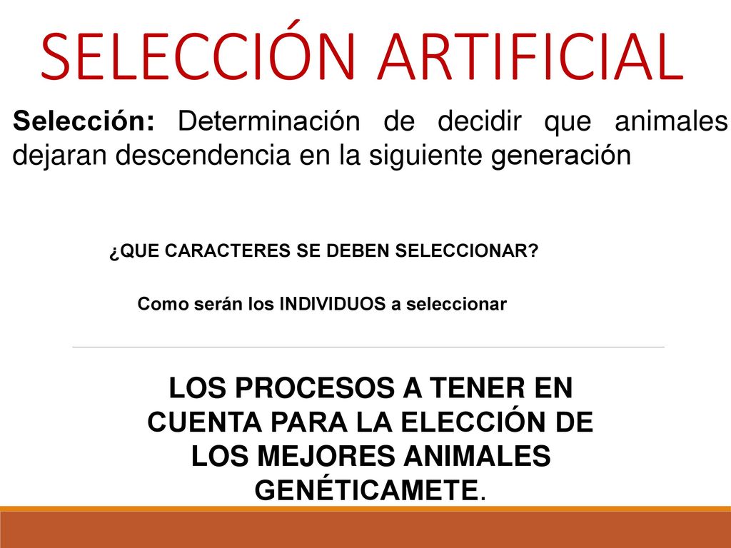 SELECCIÓN ARTIFICIAL Selección: Determinación de decidir que animales dejaran descendencia en la siguiente generación.