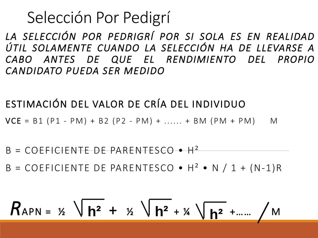 Selección Por Pedigrí rAPn = ½ + ½ + ¼ +…… m h² h² h²